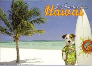 POSTAL FELICITACION NAVIDAD NUEVA LAE PANCHO HAWAI CARTE POSTALE POSTCARD